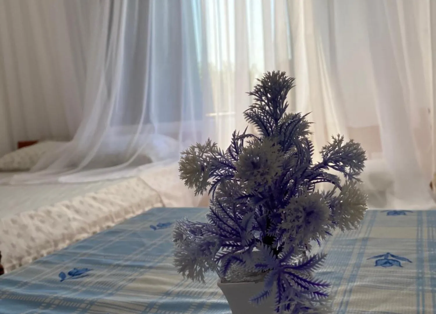 Guest house Hasarooms Durres